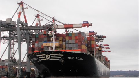 MSC Sonia served by six Ship to Shore cranes in Contship La Spezia