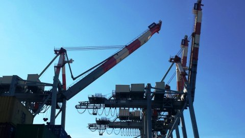 Cranes Progress Report LSCT