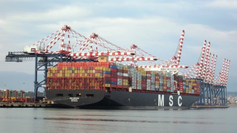 MSC Miriam at MCT Gioia Tauro