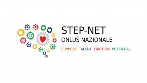 Step-net banner